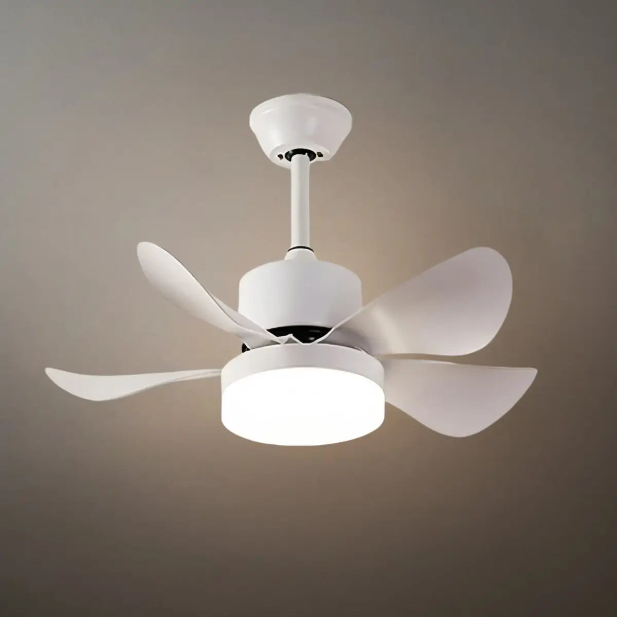 Zenno Minimalist Ceiling Fan Light